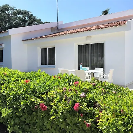 Fig Tree Z 4* باراليمني