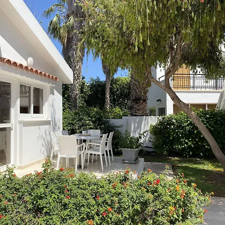 Fig Tree Z باراليمني