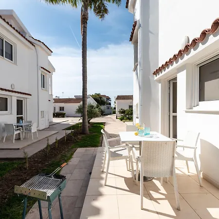 Fig Tree Z باراليمني