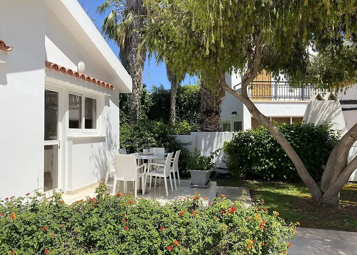 Fig Tree Z Paralimni